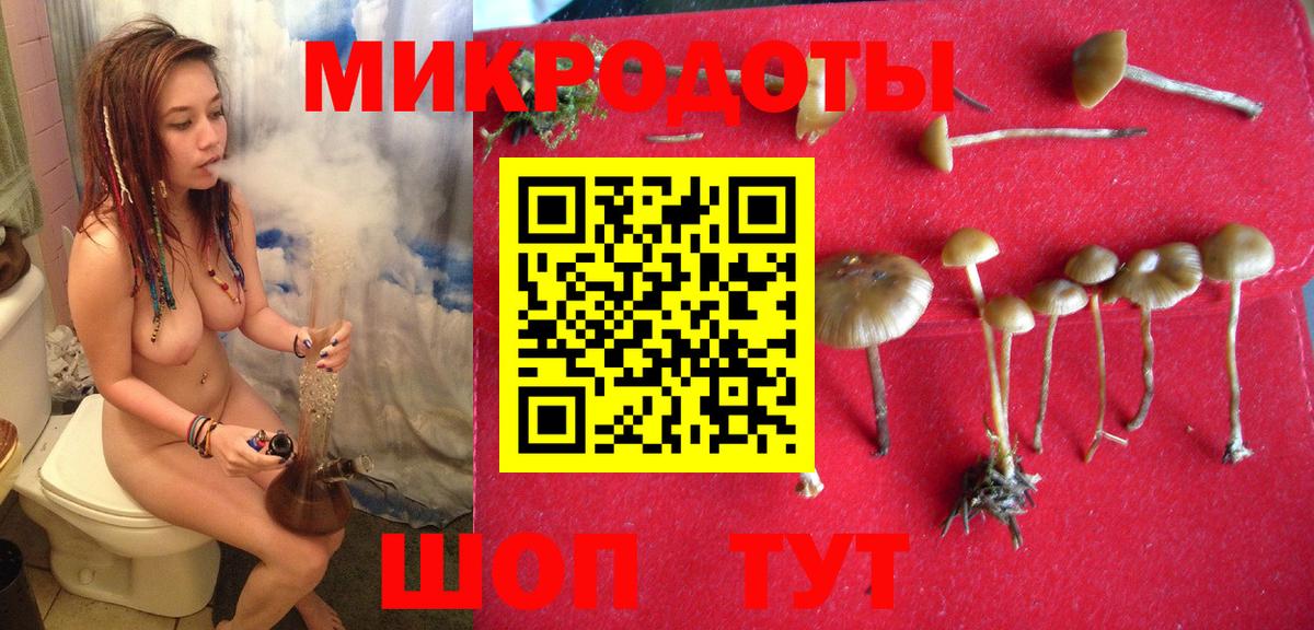 Галлюциногенные грибы мухоморы  Вход с VPN  Пенза 